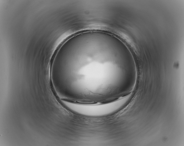 X0000090981275200708091450
