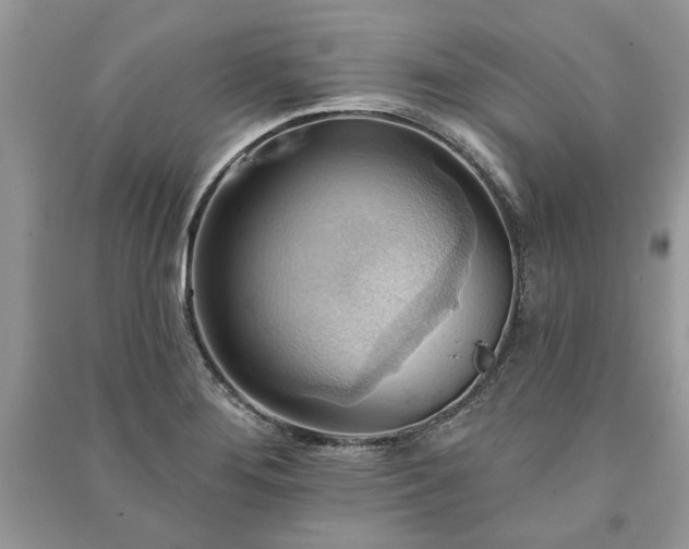 X0000090981276200708091450