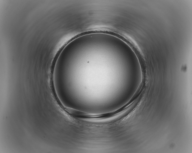 X0000090981277200708091450