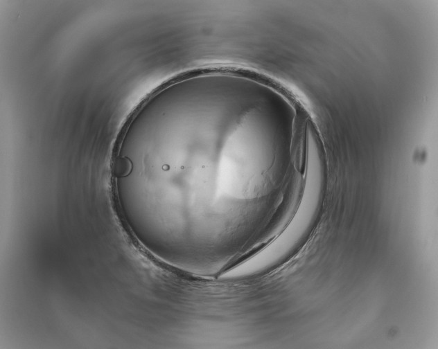 X0000090981279200708091450