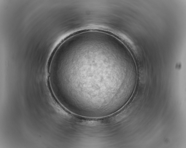 X0000090981280200708091450