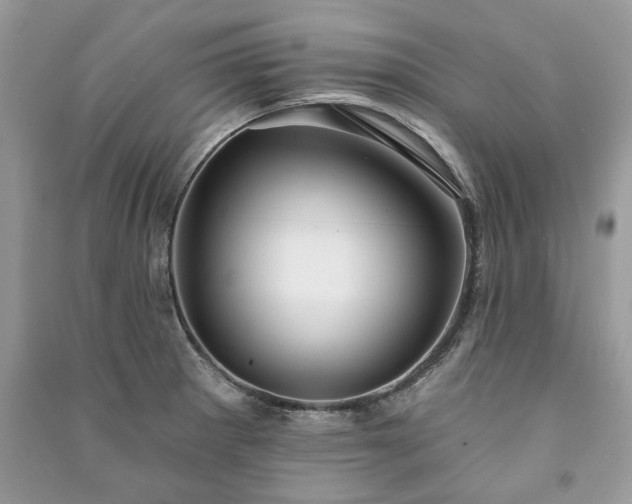 X0000090981281200708091450