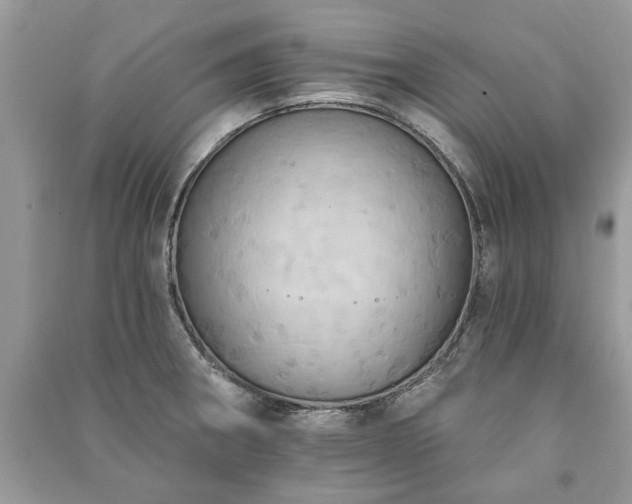 X0000090981282200708091450