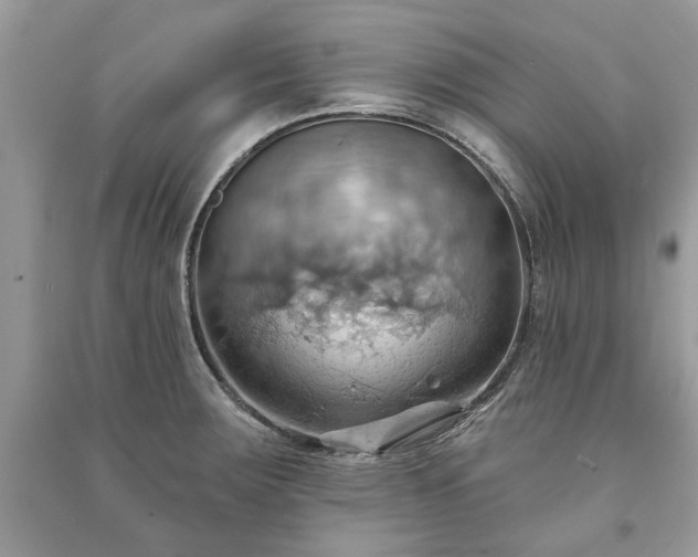 X0000090981283200708091450