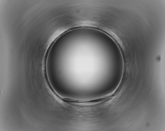 X0000090981285200708091450