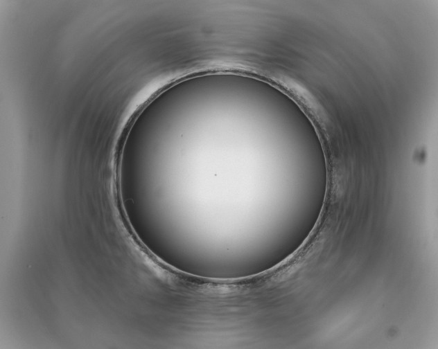 X0000090981286200708091450