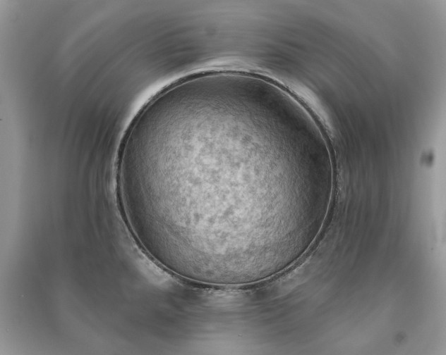 X0000090981288200708091450