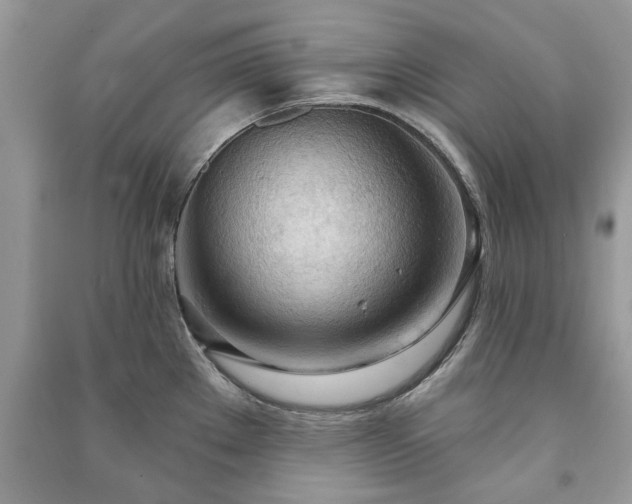 X0000090981289200708091450