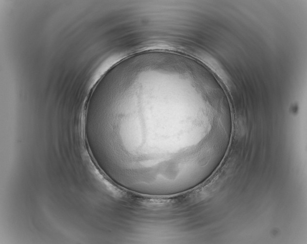X0000090981290200708091450