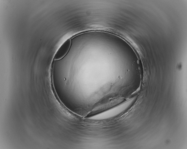 X0000090981291200708091450