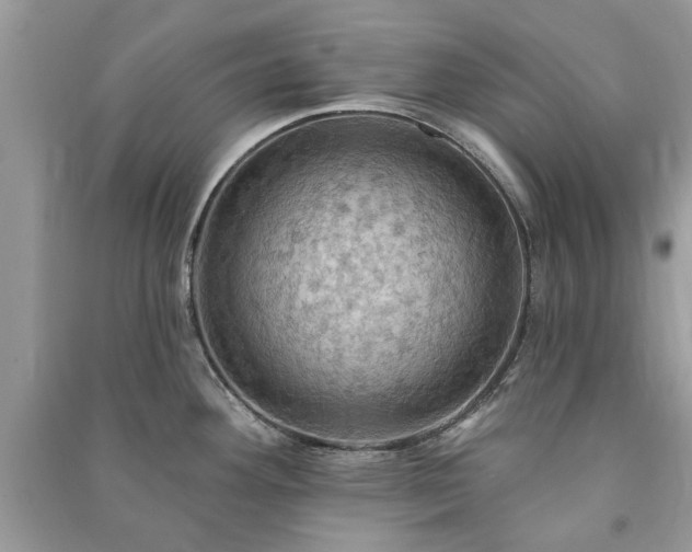 X0000090981292200708091450