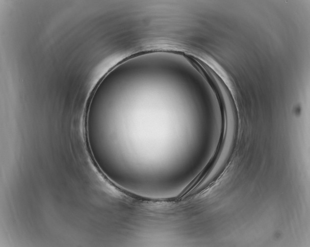 X0000090981293200708091450