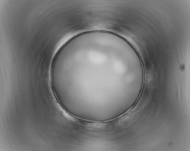 X0000090981294200708091450
