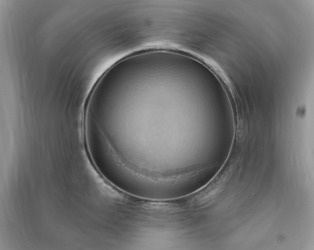 X0000090981295200708091450