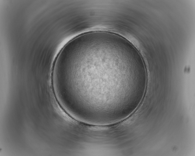 X0000090981296200708091450