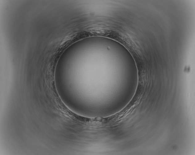 X0000090981297200708091449