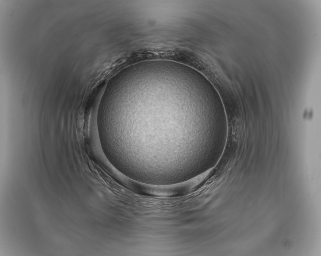 X0000090981298200708091449