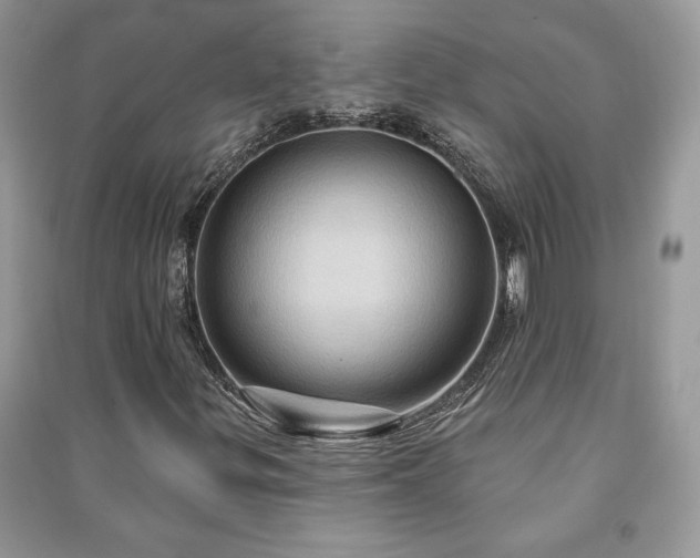 X0000090981299200708091449