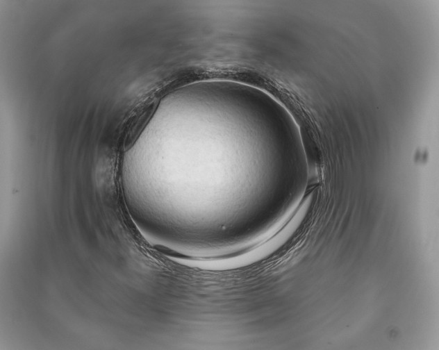 X0000090981300200708091449