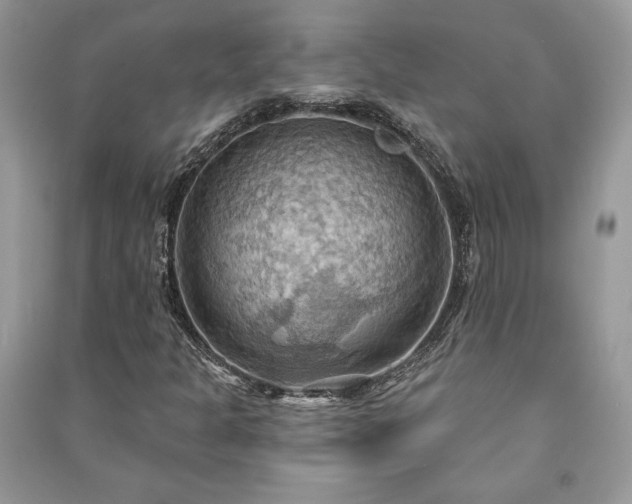 X0000090981301200708091449