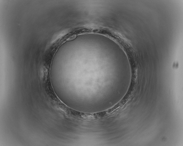 X0000090981302200708091449