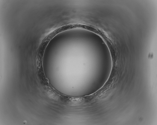 X0000090981303200708091449