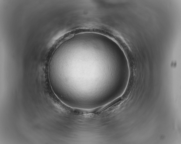 X0000090981304200708091449