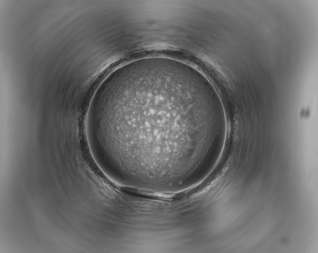 X0000090981305200708091449