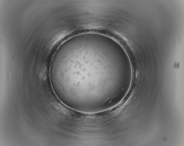 X0000090981306200708091449