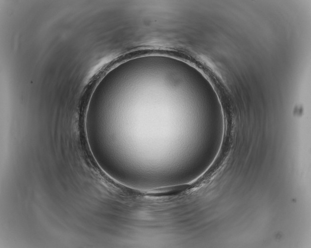 X0000090981307200708091449