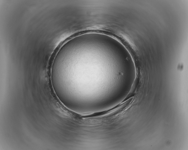 X0000090981308200708091449