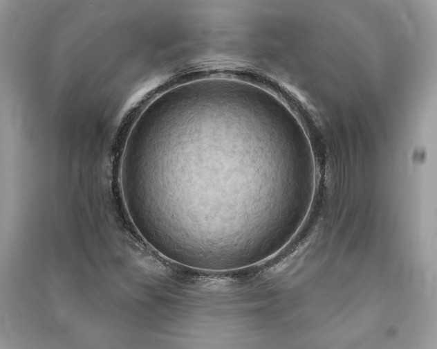 X0000090981309200708091449