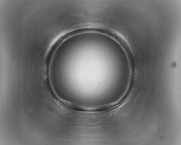 X0000090981310200708091449