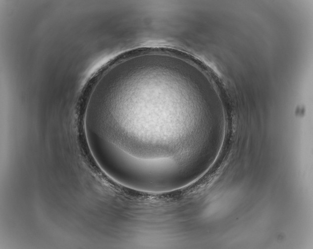 X0000090981311200708091449