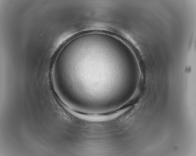 X0000090981312200708091449