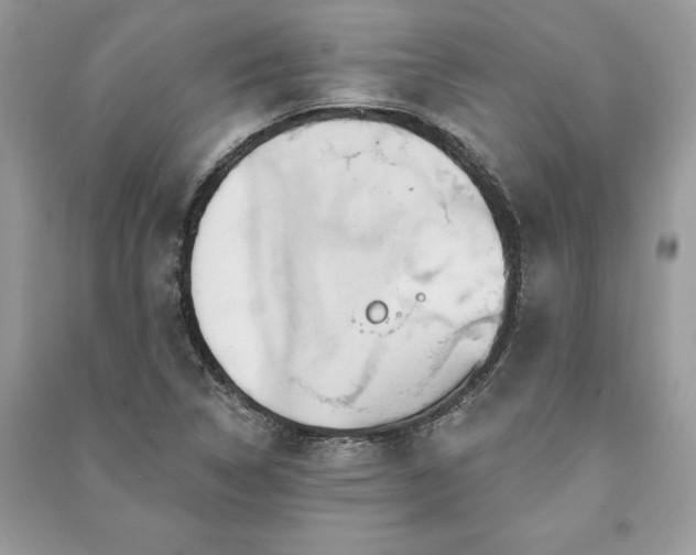 X0000090981314200708091449