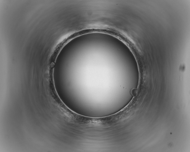 X0000090981315200708091449
