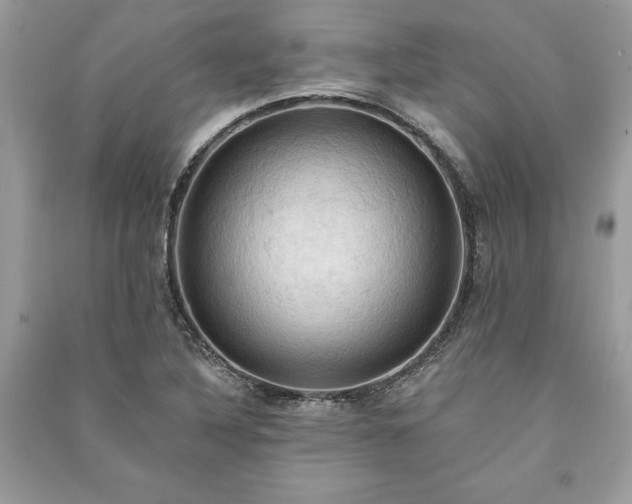 X0000090981316200708091449