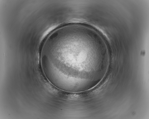 X0000090981317200708091449