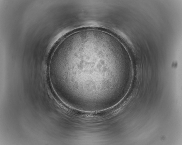 X0000090981318200708091449