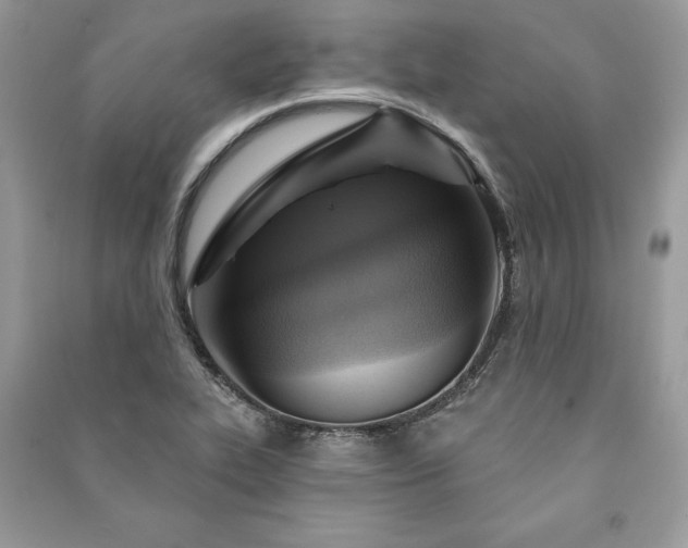 X0000090981319200708091449