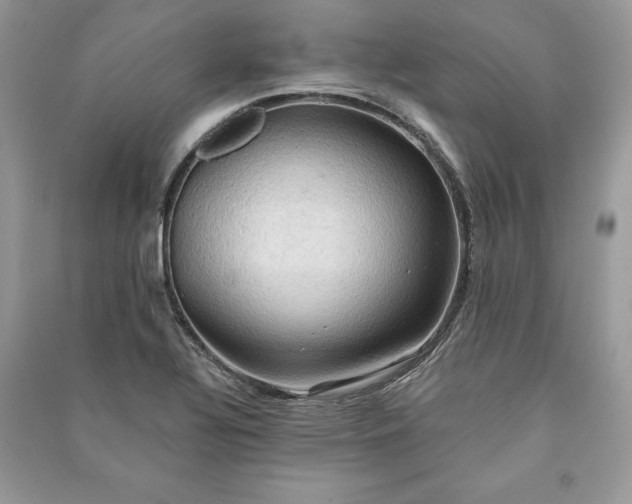 X0000090981320200708091449