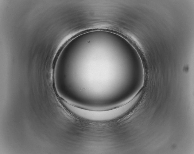 X0000090981324200708091449