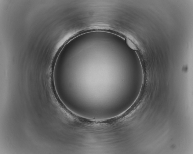 X0000090981325200708091449