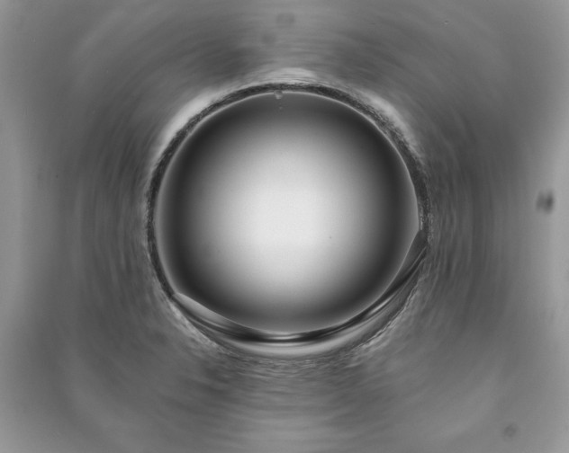 X0000090981326200708091449