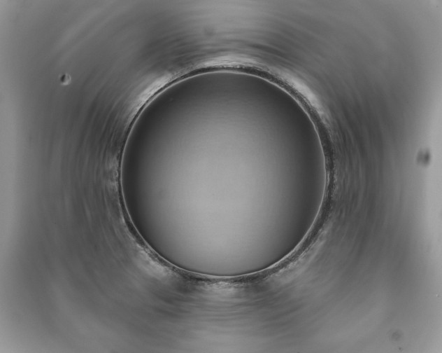 X0000090981329200708091449