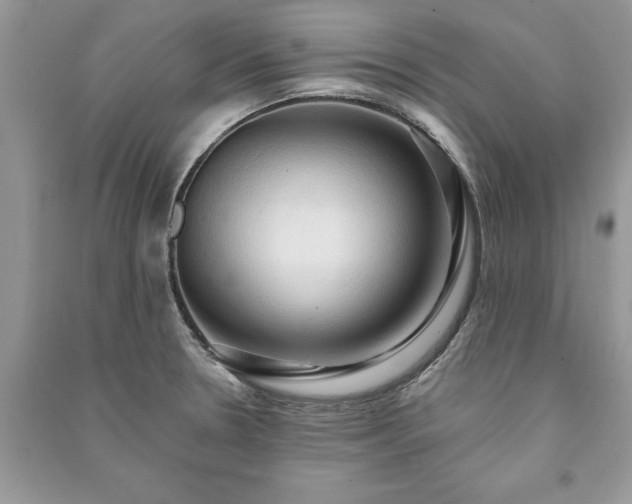 X0000090981330200708091449