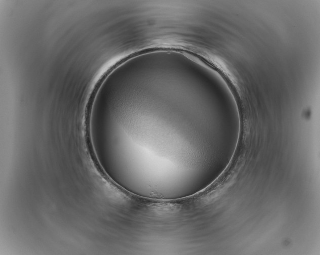 X0000090981331200708091449