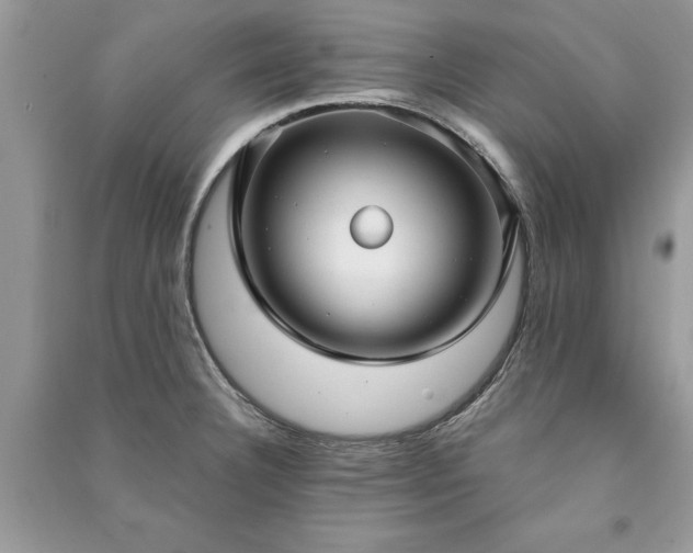 X0000090981332200708091449