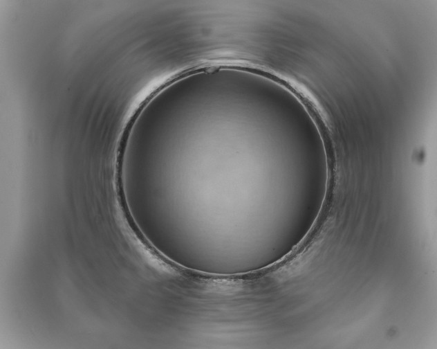 X0000090981333200708091449